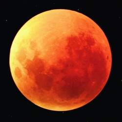 La seule chose a faire a minuit seul au milieu de rien: lever le yeux au ciel...