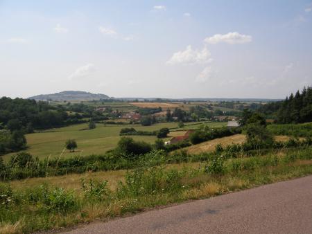 suzecity